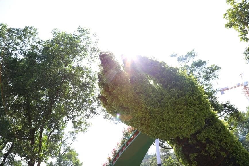 Nhờ đó, cây cối vẫn mơn mởn tươi xanh. Hoa hồng, hoa giấy, kim đồng vàng, hoa bướm, dừa cạn, osaka… trổ bông rực rỡ, phủ lên Núi Bà Đen màu sự sống căng tràn.