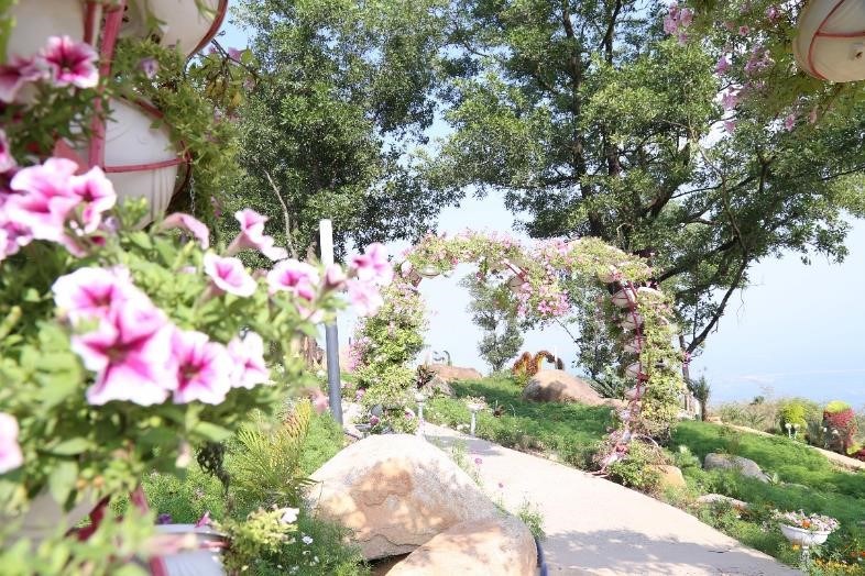 Những cánh rừng xanh bát ngát, nhiều vườn hoa tươi tắn dần xuất hiện làm thành những mảng màu rực rỡ trên Núi Bà