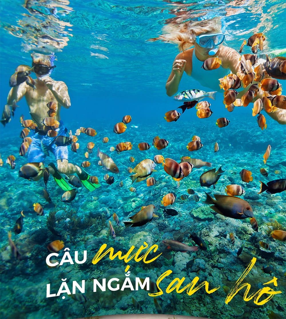 Câu mực, lặng ngắm san hô tại Bãi Sao