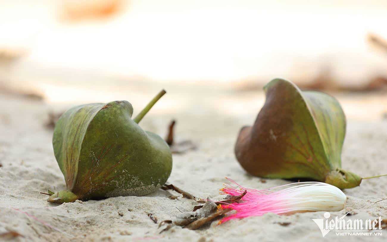 Hòn Thơm được xem như một trong những nơi lặn biển đẹp nhất tại Phú Quốc. Hòn Thơm được xem như một trong những nơi lặn biển đẹp nhất tại Phú Quốc.