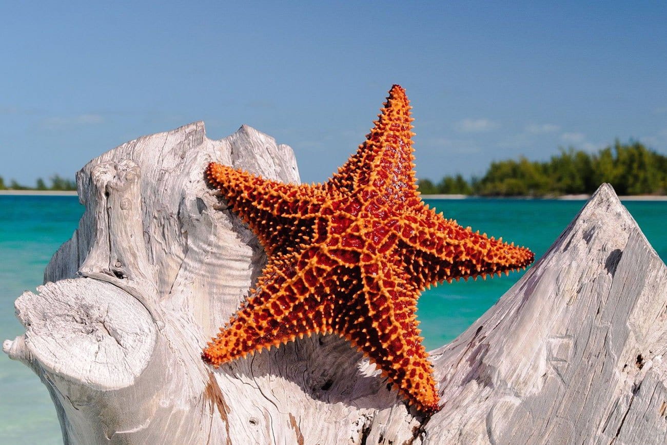 Làng chài Rạch Vẹm nằm ở phía đông đảo Phú Quốc. Làng chài Rạch Vẹm nằm ở phía đông đảo Phú Quốc.