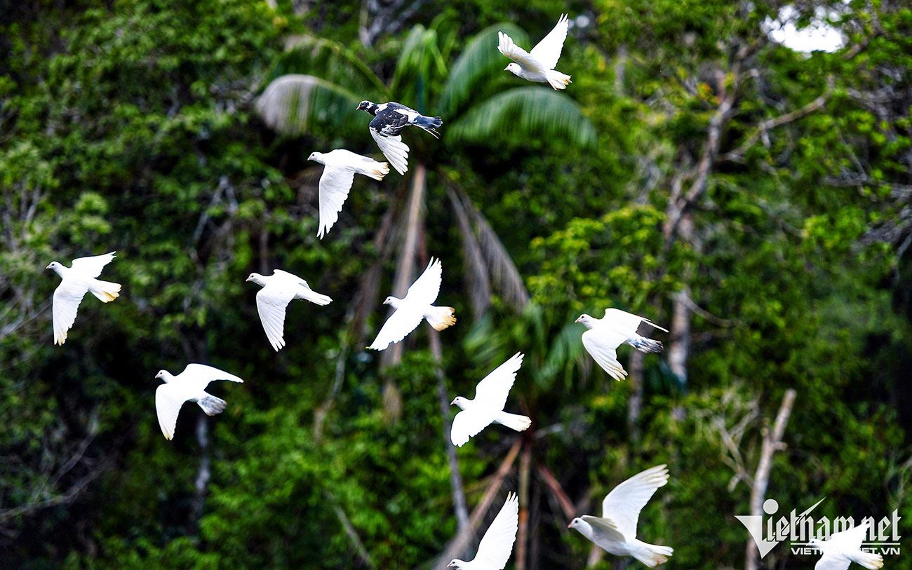 Những dự án lớn về du lịch, bất động sản đã được đầu tư mạnh vào đảo ngọc.