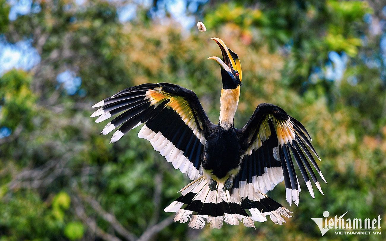 Những dự án lớn về du lịch, bất động sản đã được đầu tư mạnh vào đảo ngọc. Những dự án lớn về du lịch, bất động sản đã được đầu tư mạnh vào đảo ngọc.