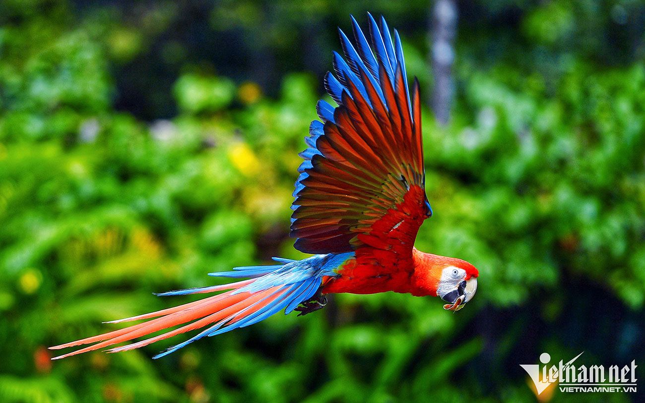 Những dự án lớn về du lịch, bất động sản đã được đầu tư mạnh vào đảo ngọc. Những dự án lớn về du lịch, bất động sản đã được đầu tư mạnh vào đảo ngọc.