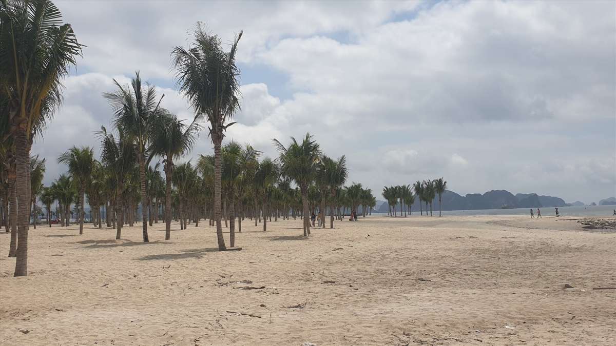 bai-cat-va-hang-thong-o-bai-tam-bai-chay