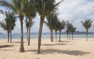 hinh-leading-bai-tam-bai-chay-quang-ninh