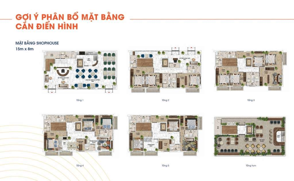 layout-shophouse-15-8m